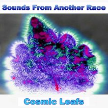 S.F.A.R. - Cosmic Leafs (Single)